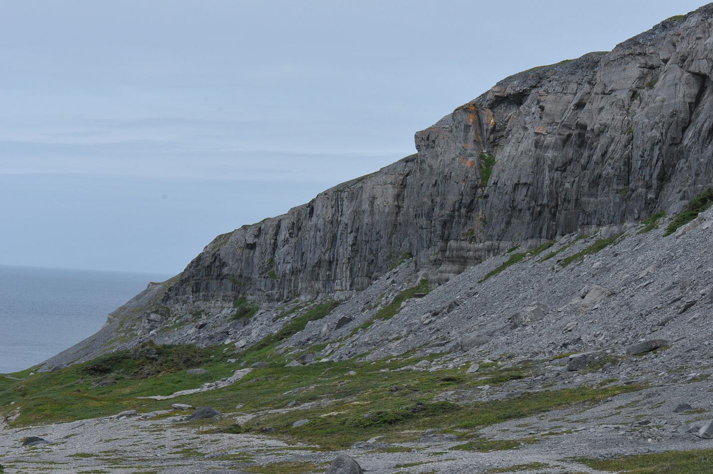 Newfoundland Limestone Barrens North American Rock Garden Society